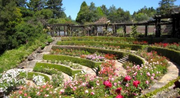 tierred terraced flower garden