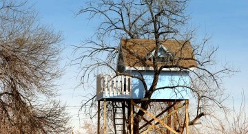 treehouse on stilts with blue walls