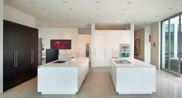 ultramodern lake house kitchen area