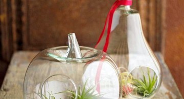 a pair of pumpkin jars air plant terrarium ideas