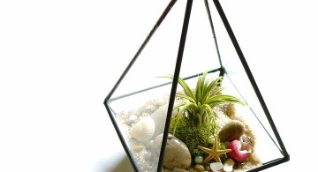 air plant terrarium ideas in pyramid jar