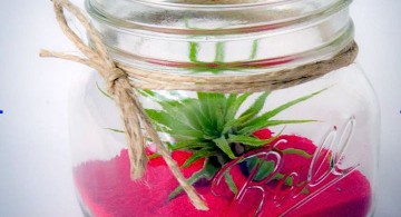 air plant terrarium ideas with magenta sands