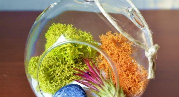 air plant terrarium ideas with orange and green plants