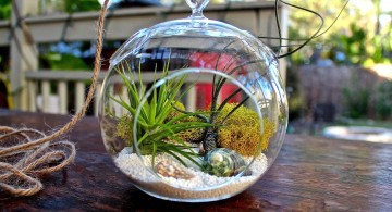 cute minimalist air plant terrarium ideas