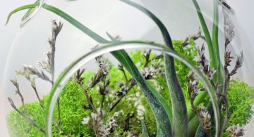 greenery themed air plant terrarium ideas