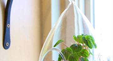 hanging air plant terrarium ideas for front porch