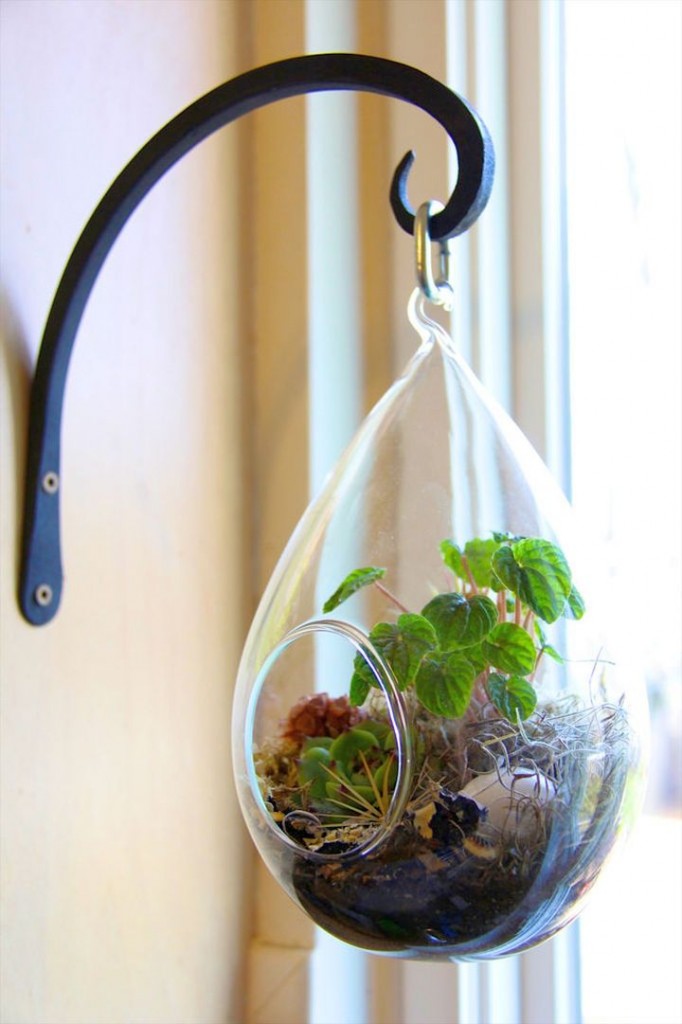 hanging air plant terrarium ideas for front porch