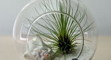 minimalist winter wonderland themed air plant terrarium ideas